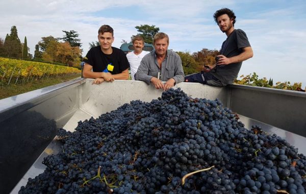 Domaine de la Capitaine
