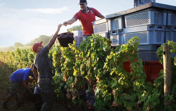 Domaine de la Croix