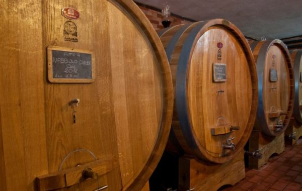 Domaine Dosio