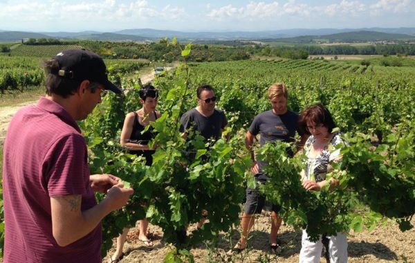 Domaine La Louvière