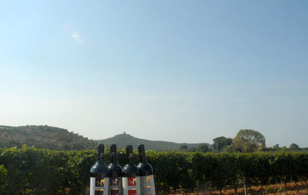 Azienda Micheletti
