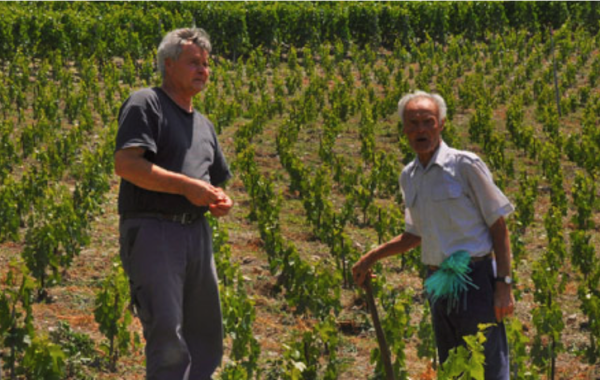 Domaine Frédéric Zufferey