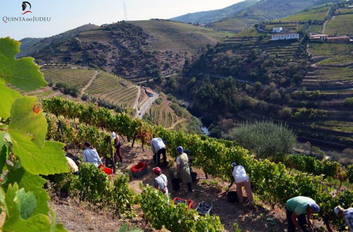 Quinta de Judeu