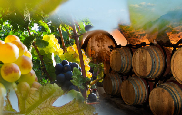 Domaine Genevaz