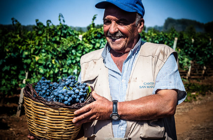 Domaine Feudi di San Marzano